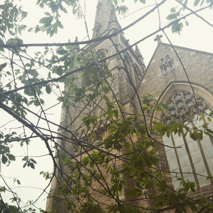 20371161_810868832410896_1150365432_n