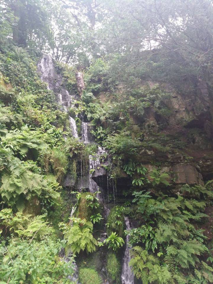 20447105_810868702410909_1470789058_o