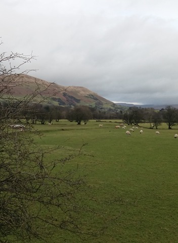 26914034_894160247415087_663757493_n