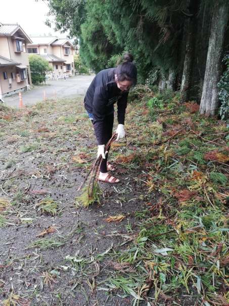 43187004_471189923386870_4252036340507475968_n