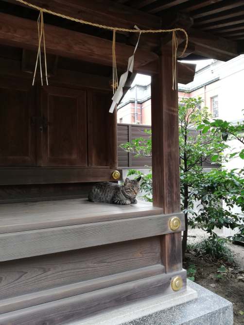 43595008_1245497882462372_3232559426837676032_n