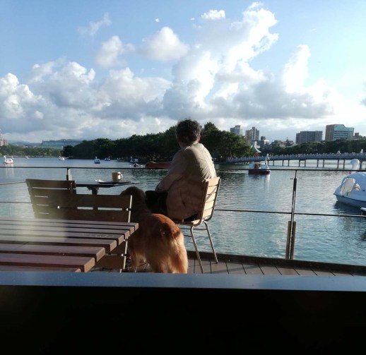 43952432_2204997096191687_1880049039639052288_n