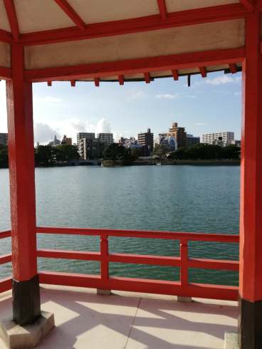 44030728_345222282702653_1088835653338136576_n