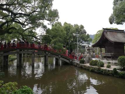 44094691_259279898120015_6127682334293491712_n