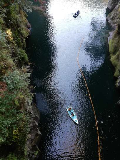 45712672_723723041339139_126841211863433216_n