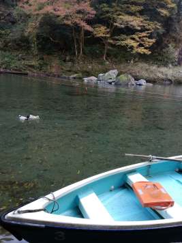 45720684_360244167882539_3433630395269120000_n