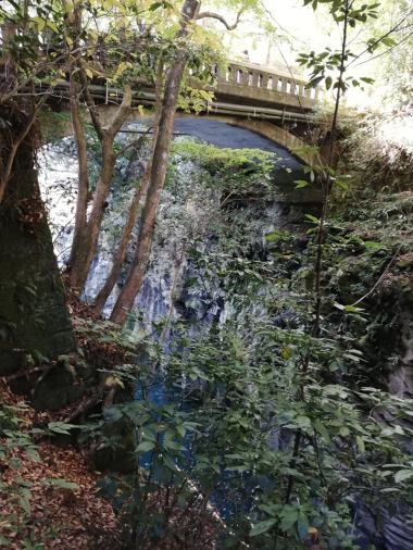 45936350_253023868708094_4406688573714071552_n