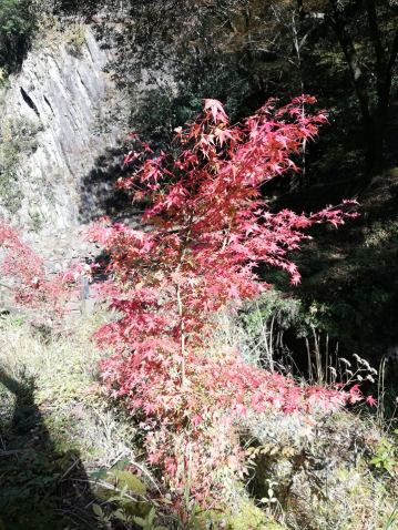 45960854_188732658679029_4383887301009211392_n