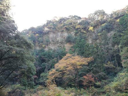 46065707_176591623292970_840018306571173888_n