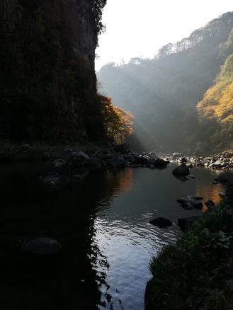 46075110_1969890383100595_2755841443078602752_n