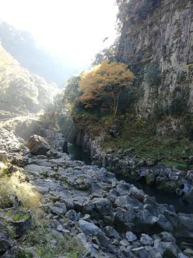 46108104_2290556117894648_3392355029410119680_n