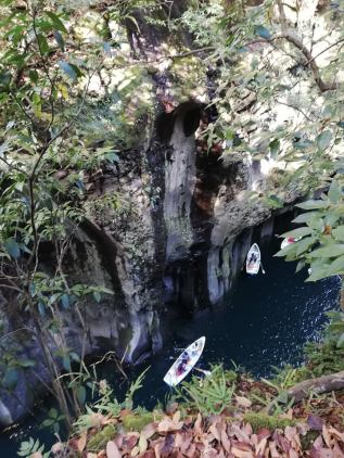 46121211_765424737144166_8929147870632738816_n