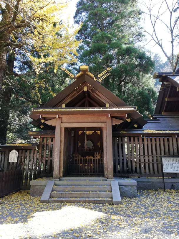 46457916_581689952269469_5607305707322867712_n