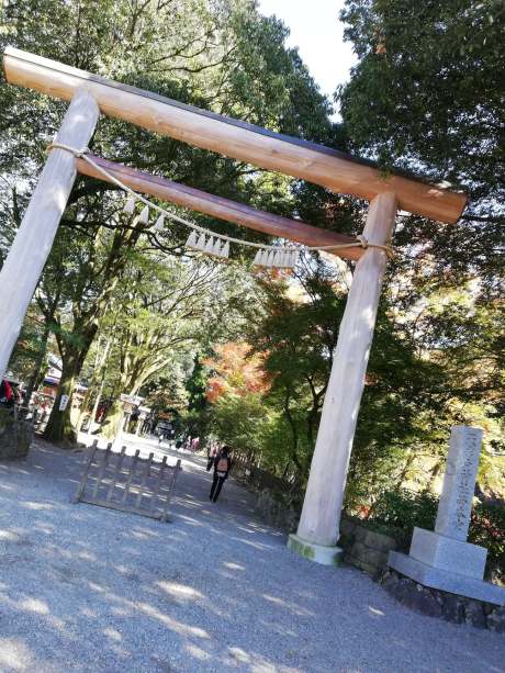 46471923_274492526592226_753687818949099520_n