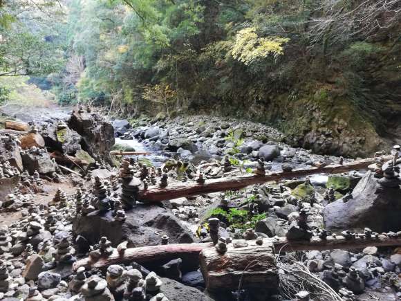 46485652_184280622514260_1796423303376666624_n