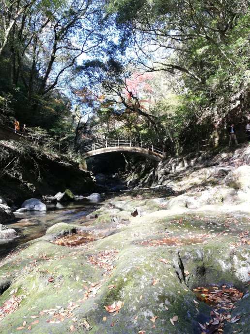 46486069_735131516854254_7800436942054621184_n