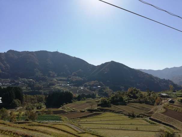 46491499_1394814967316183_7769194959101493248_n