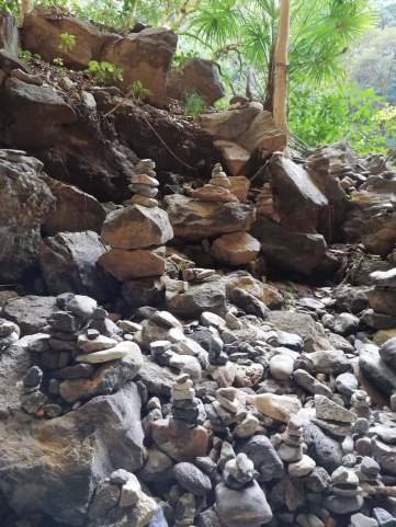 46498342_653945315003108_1322895174648463360_n