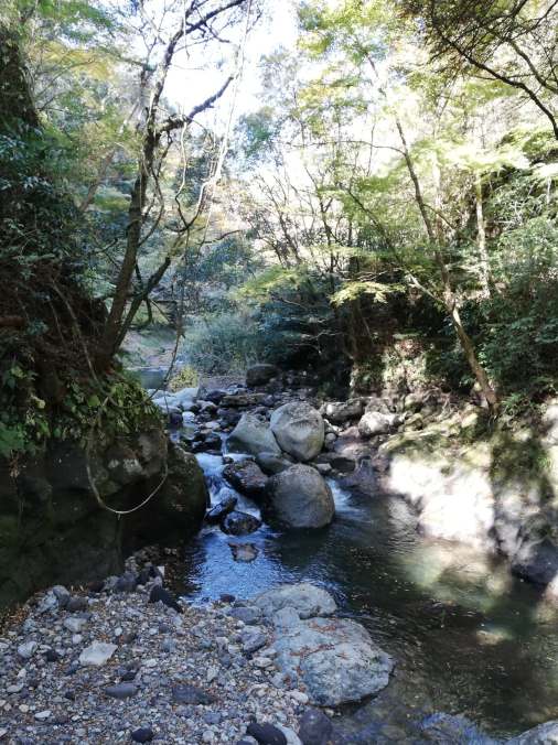 46503911_267346657282530_4049212123476131840_n