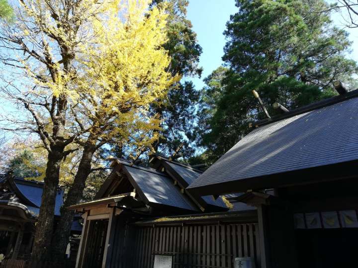 Amano Iwato Shrine
