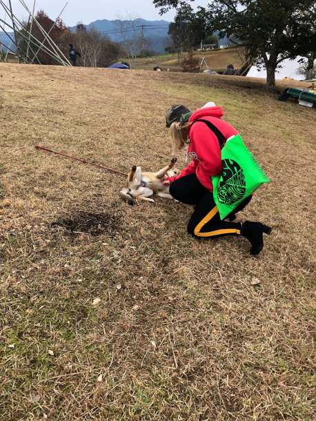 47573673_1777286629067151_878518655405522944_n