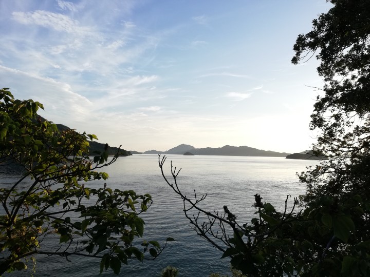 Recontracting JET: To&nbsp;be