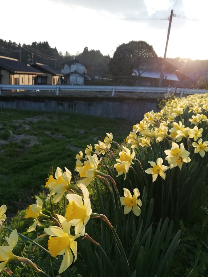 Goodbye Winter Blues