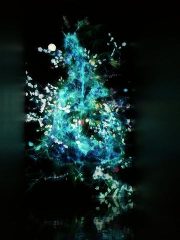 55778962_343037313006911_6721108984805195776_n