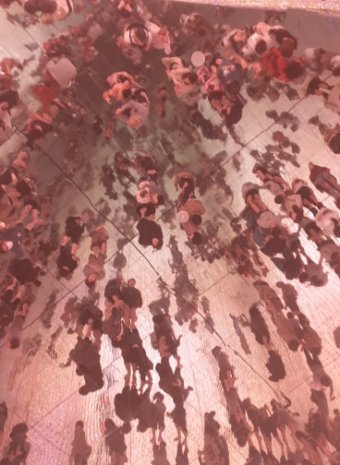 56378086_342802389699521_8610750752295485440_n