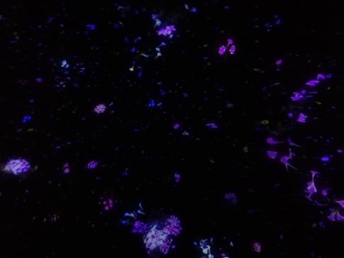 56400381_278786883037014_6199070003627556864_n