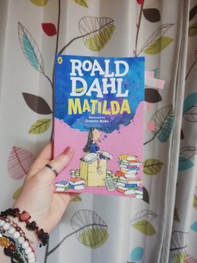 57438174_354292541883971_70486091274125312_n