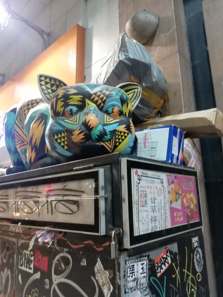 72623821_520256821878719_5474163241565290496_n