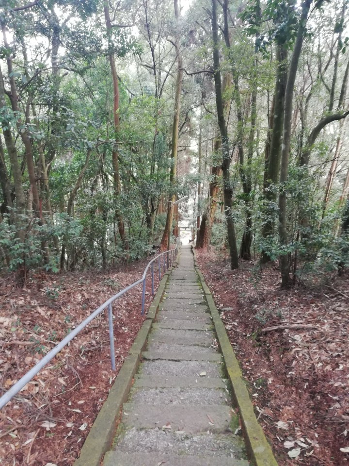 In Japan, it's always leg day