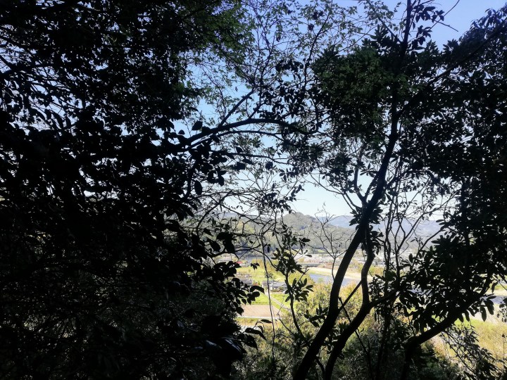 img_20200405_152035-1