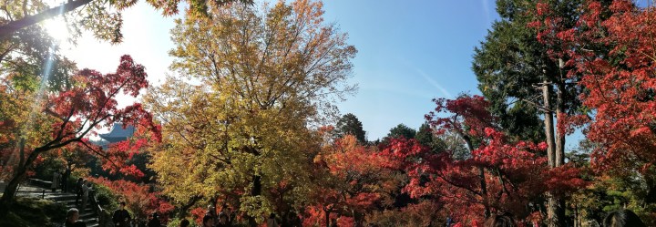 The 52 Lists Project: Week 2: All Things&nbsp;Autumn!