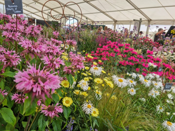 RHS Tatton Park Flower&nbsp;Show