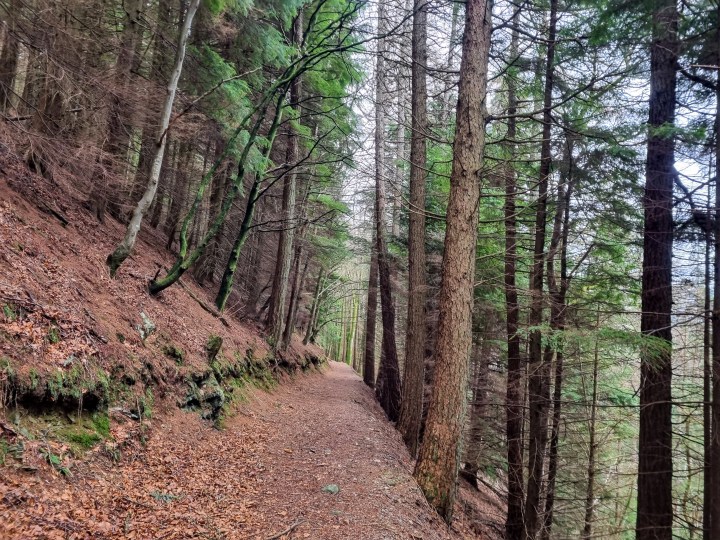 January 2023 Reflection